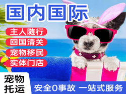博鳌航空托运国际宠物托运 【国